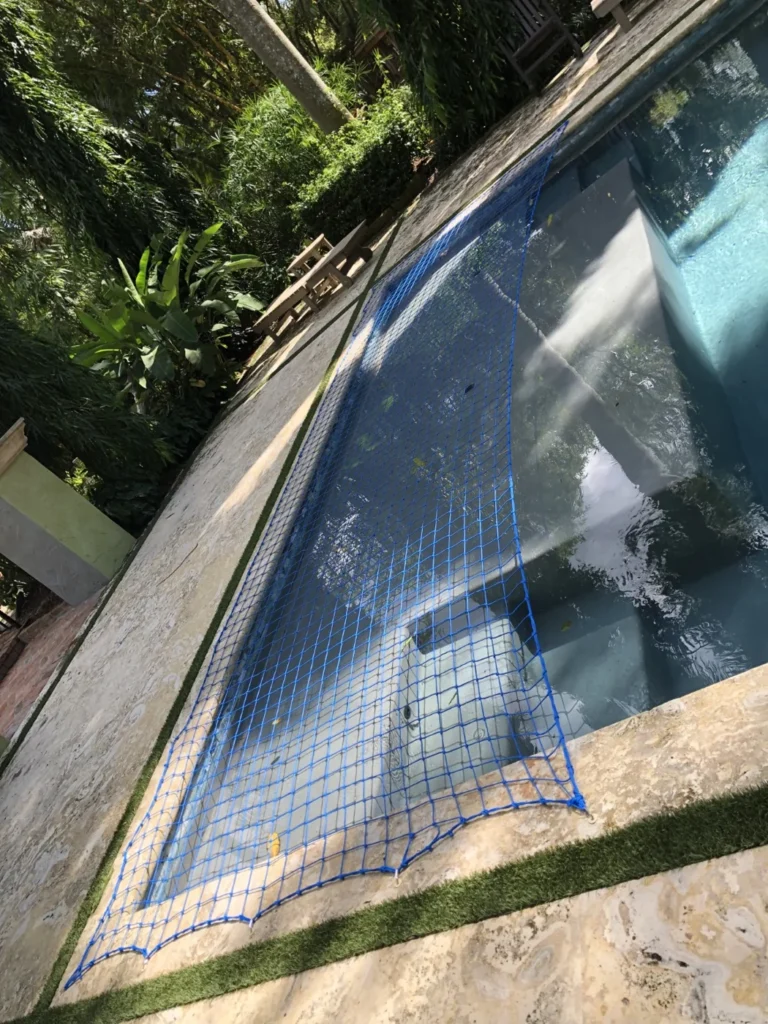 Blue raccoon net installed only above the shallow pool shelf and entry steps